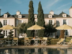 The Directors Chair - Table Height - Rivie Mimosa^Business & Pleasure Co. Best