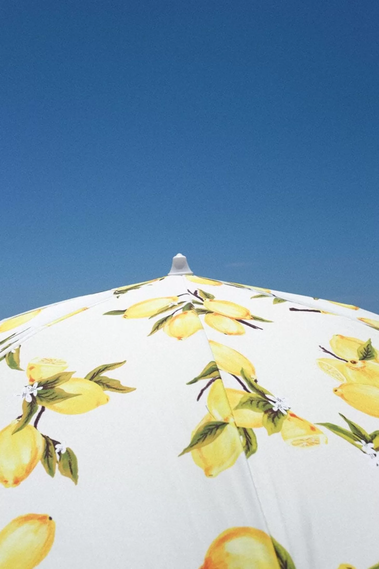 Holiday Beach Umbrellas>Business & Pleasure Co. The Holiday Beach Umbrella - Vintage Lemons